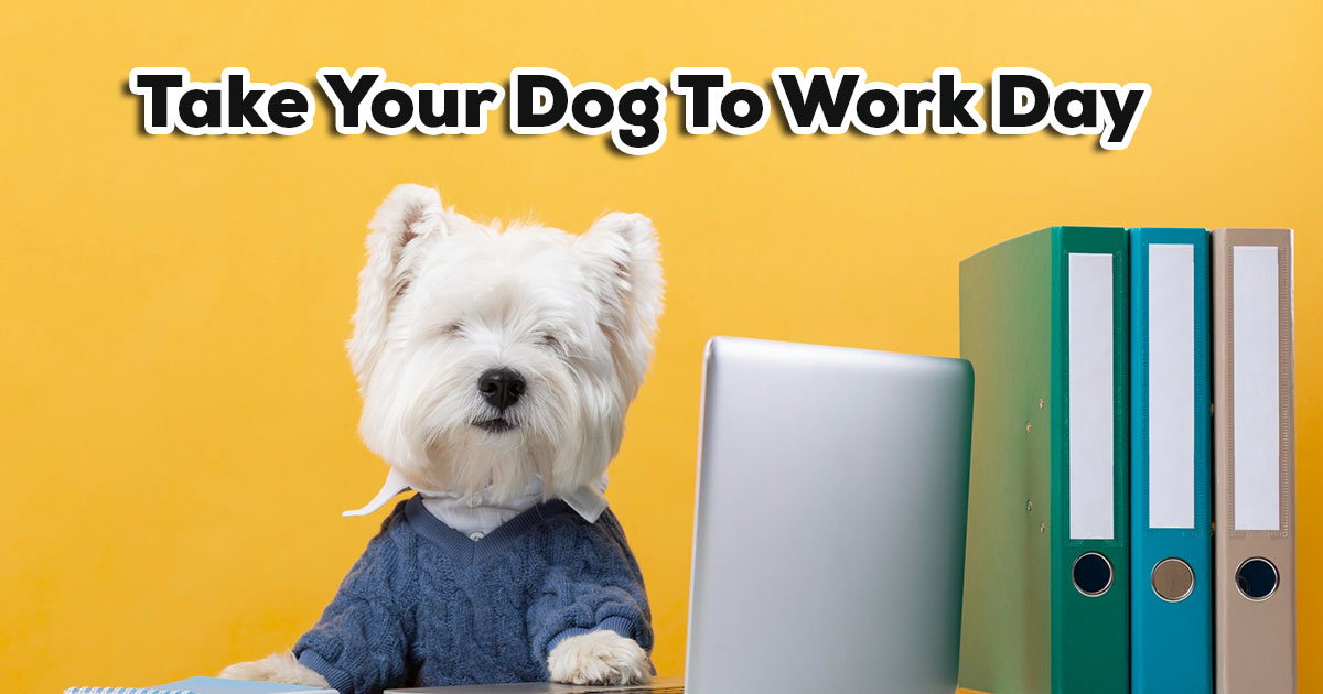 Take Your Dog to Work Day